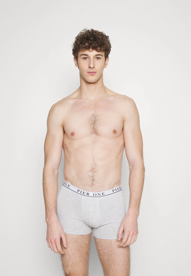 Pier One 5 PACK - Panties - Light Grey/black/green 1 Pier One 5 PACK - Panties - Light Grey/black/green