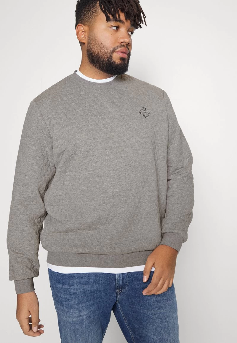 Pier One Sweatshirt - Grey 4 Pier One Sweatshirt - Grey – Bild 4